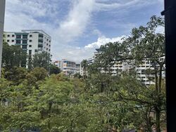Blk 520 Fragrant Woods (Woodlands), HDB Executive #574400551